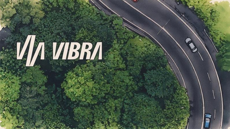 Vibra (Foto: Reprodução)