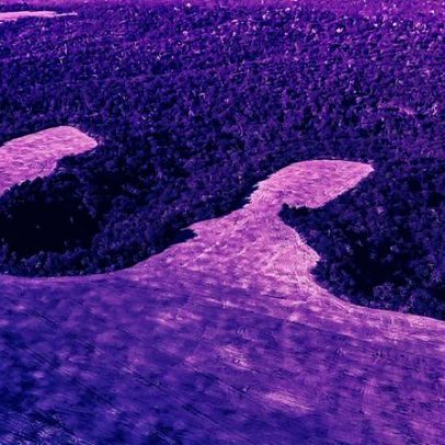 Desmatamento avança e ameaça florestas após quatro décadas de exploração intensa