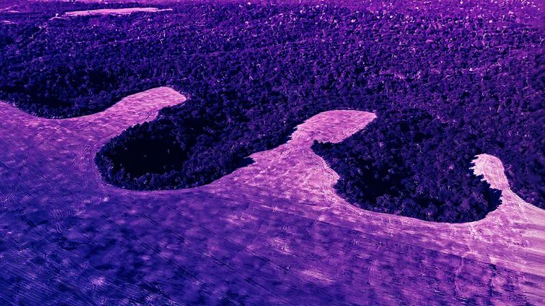 Área desmatada para plantio de soja em Itaituba, Pará (Foto: Reprodução)