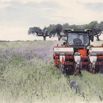 Revolução agrícola transforma fazendas na Europa e promete salvar o setor