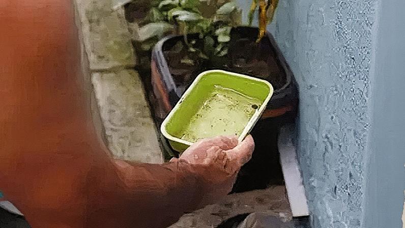 Rio de Janeiro (RJ) 13/04/2024 - Epidemia de dengue no Brasil é o tema do Caminhos da Reportagem deste domingo Frame EBC