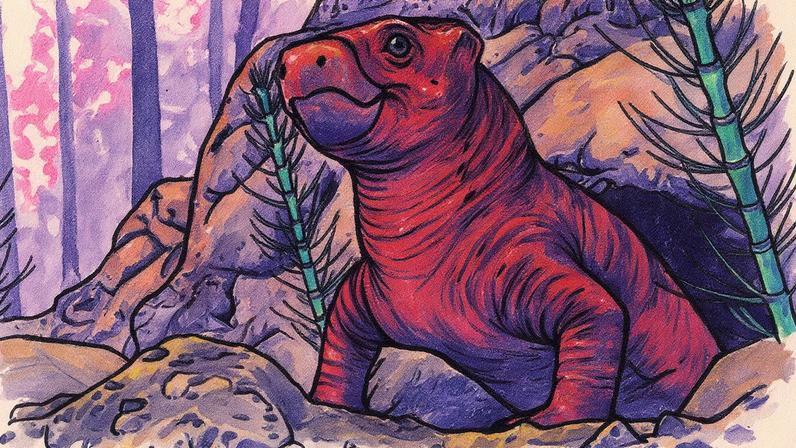 (Márcio Castro/Divulgação)