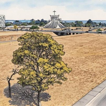 Temperaturas elevadas e baixa umidade marcam o fim de semana em Brasília