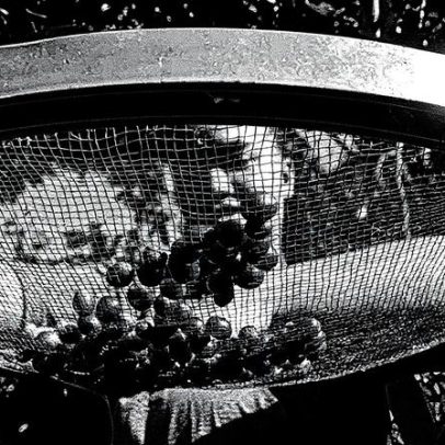 Produtores enfrentam alta nos preços de café, carne, soja e milho