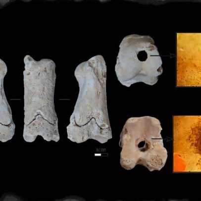 Apito de osso revela antiga "polícia" do Egito há 3,3 mil anos
