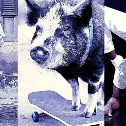 Recordes bizarros do Guinness 2026: unhas gigantes e porco no skate