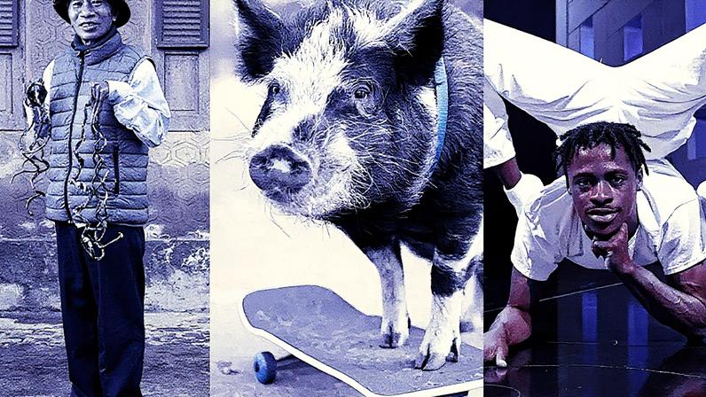 (Guinness World Records/Divulgação)