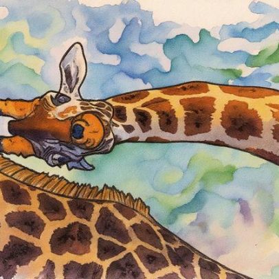 Cientistas confirmam quatro espécies de girafa