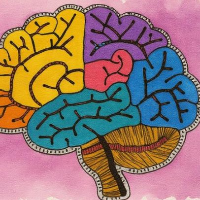 Pesquisas sobre consciência podem focar no cérebro errado