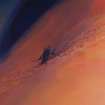 Dengue se torna um desafio global, alerta especialista em infectologia