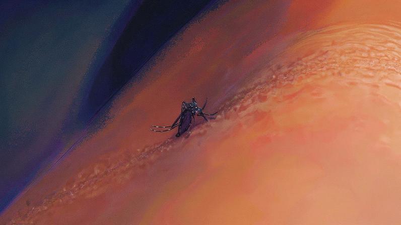 Mosquito Aedes aegypti, transmissor da dengue (Foto: Reprodução)