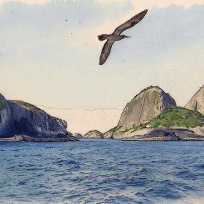 Bactérias do litoral paulista ajudam no combate a doenças da soja