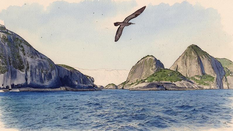 Vista da ilha de Alcatrazes com mar em primeiro plano, dois paredões rochosos ao fundo, um em sombra e outro iluminado pelo sol, sob um céu azul, enquanto uma ave marinha voa com as asas abertas (Foto: Reprodução)