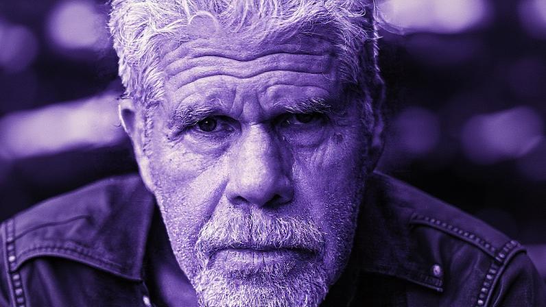 Ron Perlman posa em sua casa em Los Angeles (Foto: Reprodução)