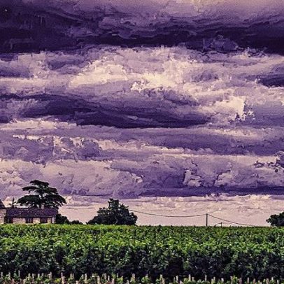 O vinho orgânico enfrenta incertezas e desafios no mercado atual