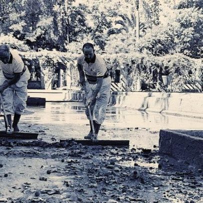 Málaga e Sevilla fecham parques após morte de aves por suspeita de gripe aviar