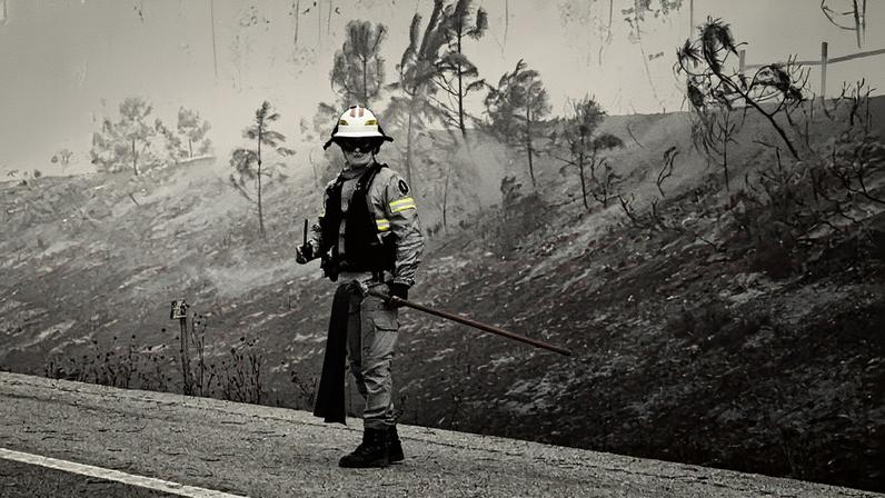 Bombeiro monitora um incêndio florestal em Pombal, Portugal (Foto: Reprodução)