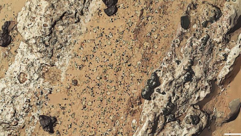 Análises de rocha sedimentar mostram argilito rico em argila, com nódulos quimicamente reduzidos de material esverdeado contendo o mineral vivianita, incorporados em uma matriz de argila oxidada vermelho-acastanhada. Características em forma de manchas de leopardo contêm vivianita e um mineral sulfeto (áreas claras) (Foto: Reprodução)