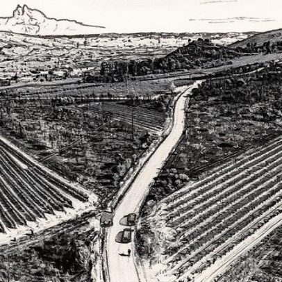 Incêndios devastam Espanha e revelam falhas no sistema de combate ao fogo