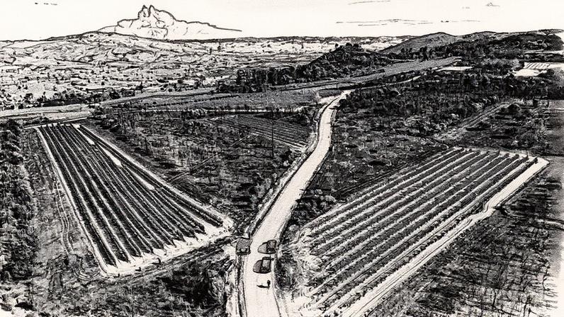 Terrenos queimados pelos incêndios em Ourense, na Galícia, em agosto deste ano (Foto: Reprodução)