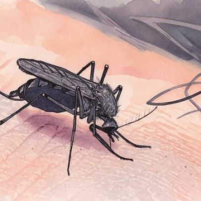 Mosquitos são atraídos por sexo, drogas e rock ‘n’ roll, revela estudo