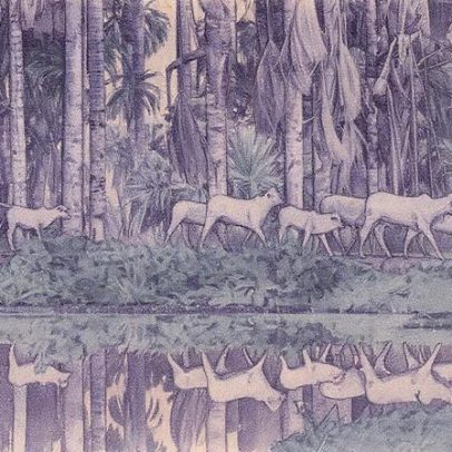 Brasil e América do Sul implementam plano para monitorar pastagens e reduzir metano