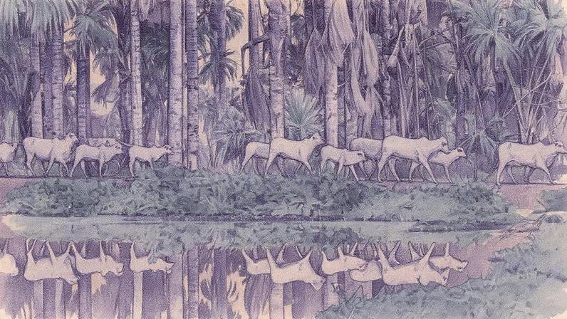 Brasil e países da América do Sul lançam plano de monitoramento de pastagens para reduzir emissões (Foto: Reprodução)