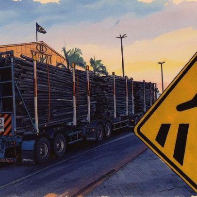 Investimentos em celulose transformam pequenas cidades de Mato Grosso do Sul