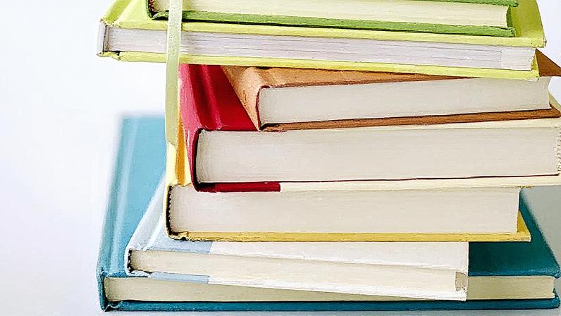 Manual de franquia apresenta diretrizes e procedimentos para padronização e operação do negócio (Foto: Reprodução)