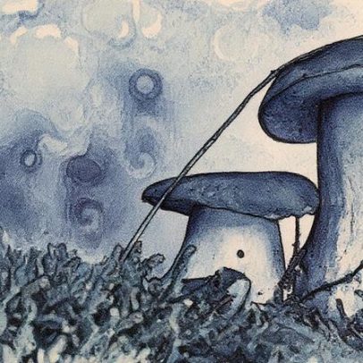 Descubra o vinho ideal para harmonizar com cêpes e realçar seu sabor