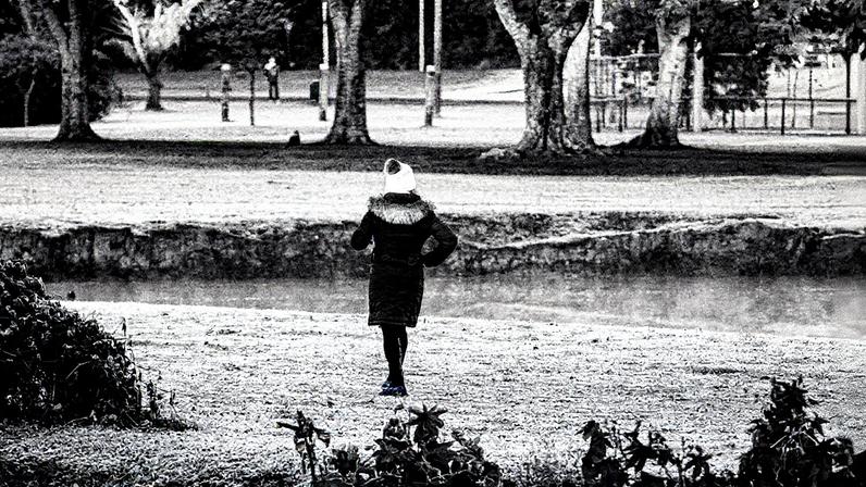 Amanhecer com geada e frio na cidade de Curitiba, Paraná (Foto: Reprodução)