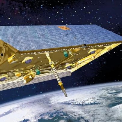 Inteligência artificial promete facilitar comunicação entre humanos e animais