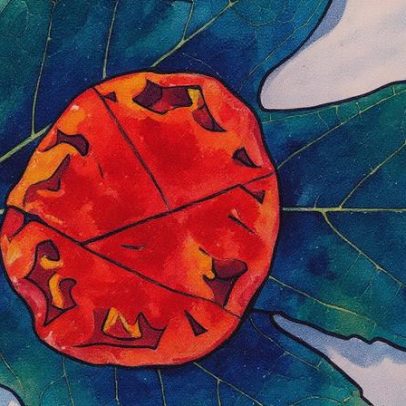 Folha de higuera se destaca como novo ingrediente na gastronomia contemporânea