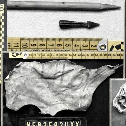 Alpargata do século XIII é descoberta em ninho de quebrantahuesos na Espanha