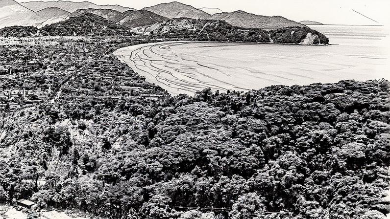 Mangue do rio Sahy com a praia da Baleia ao fundo, em São Sebastião, litoral norte de São Paulo (Foto: Reprodução)