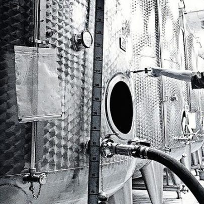 Entenda o papel do débourbage na vinificação e sua importância para o vinho