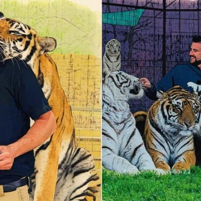 Tratador é fatalmente atacado por tigre em reserva de felinos nos EUA