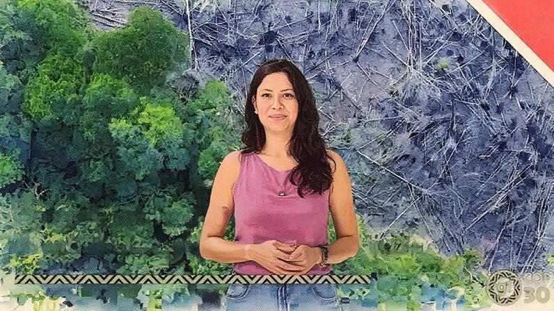 Mitigação das mudanças climáticas e ações individuais para contribuir (Foto: Reprodução)