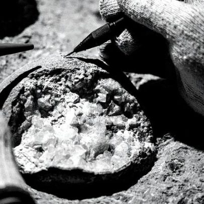 Cientistas datam ovo de dinossauro pela primeira vez na história