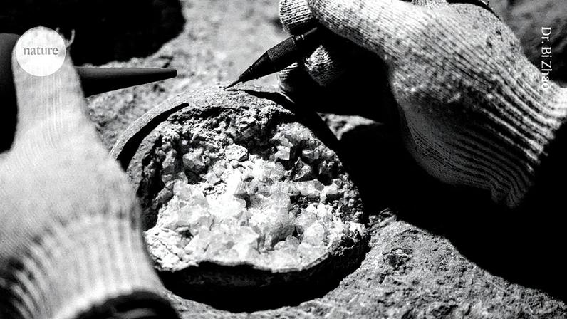 Numerosos ovos de dinossauro foram encontrados em Shiyan, China, mas sua idade era desconhecida até agora (Foto: Reprodução)