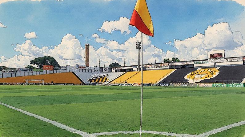 Estádio Doutor Jorge Ismael de Biasi, do Novorizontino (Foto: Reprodução)