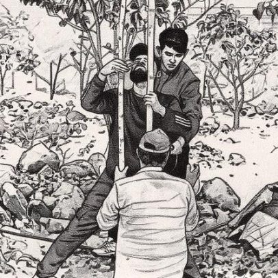 Distrito indiano planta 15 milhões de árvores em ação comunitária exemplar