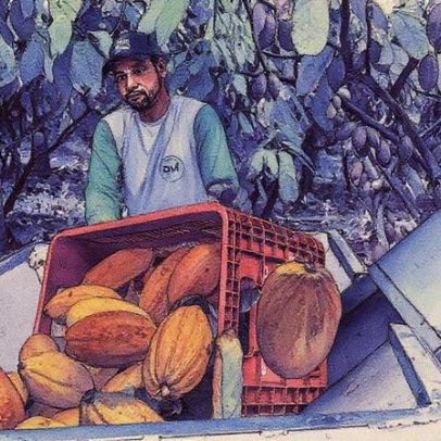 Preço do cacau despenca com safra recorde na América do Sul