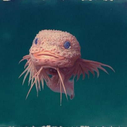 Criatura abissal surpreende cientistas ao aparecer fofa na superfície do mar