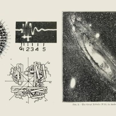 Médico do Reino Unido apoia centro de pesquisa sobre mosquitos após picadas