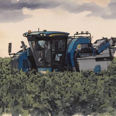 A tempestade perfeita ameaça o futuro do vinho espanhol