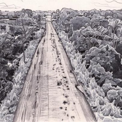 Desmatamento na BR-319 gera conflito entre Amazonas e Pará, aponta estudo