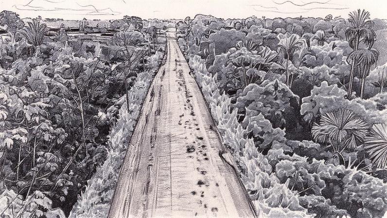 Estrada BR-319 no Amazonas (Foto: Reprodução)