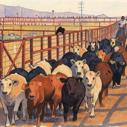 Exportações agrícolas do México despencam devido a crises e tensões comerciais