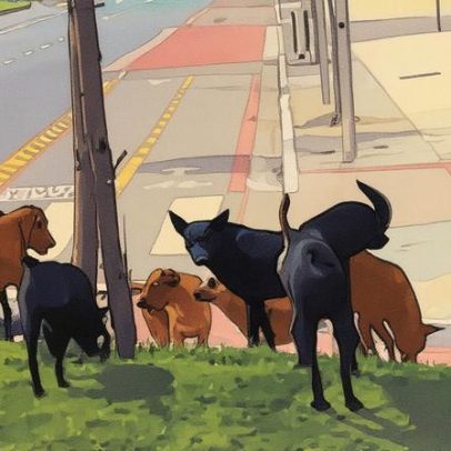 Cães soltos atacam animais e geram medo entre moradores em Niterói; assista ao vídeo